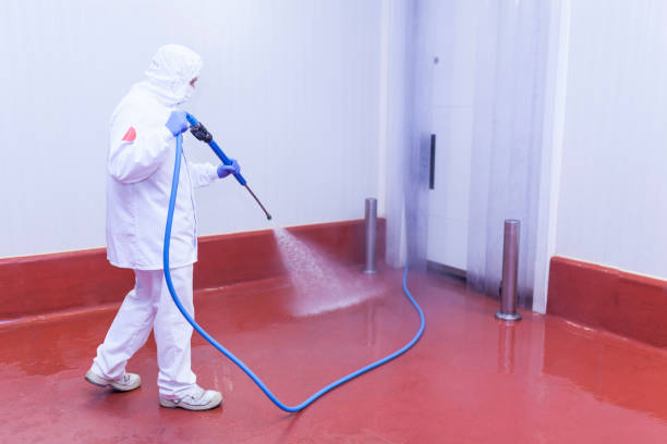 Best Sidewalk and Walkway Cleaning  in Baldwinsville, NY