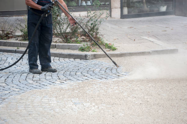 Best Animal Enclosure Cleaning  in Baldwinsville, NY